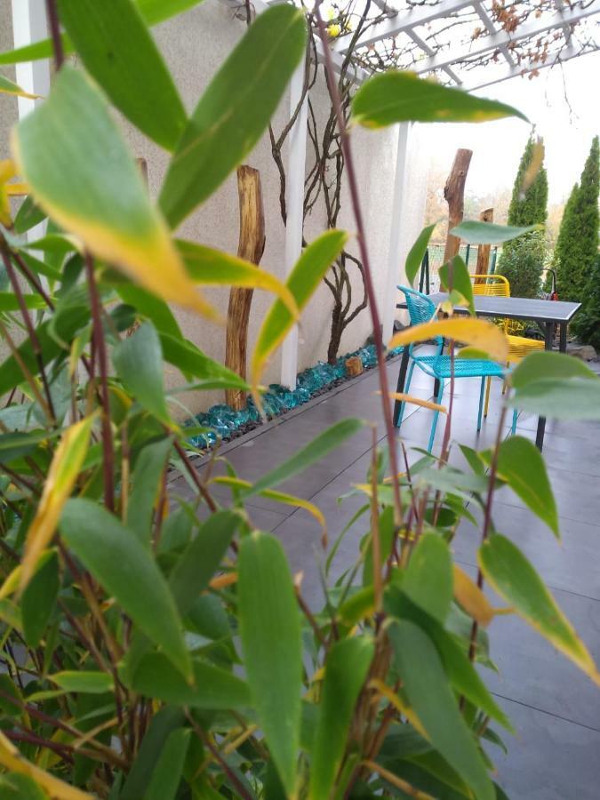 Art & Nature Apartments In Der Naehe Ffm-Messe Bad Vilbel Exteriör bild